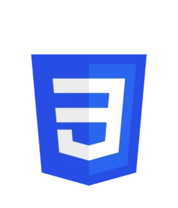 pic-logo-css (1)