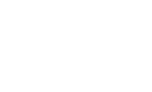 pic-logo-next-js